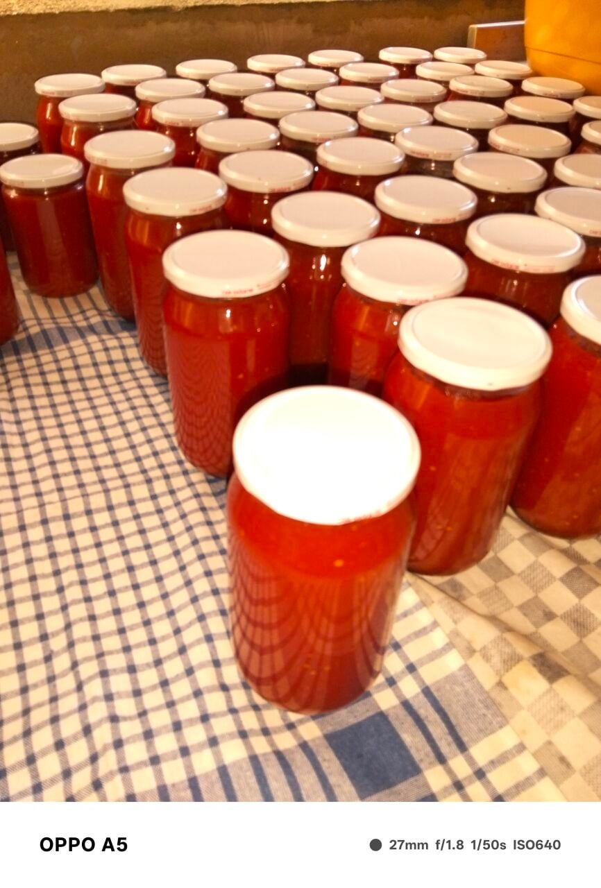 Doğal ev yapım